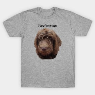 Pawsome Dog T-Shirt